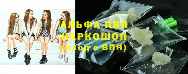 гашик Яранск