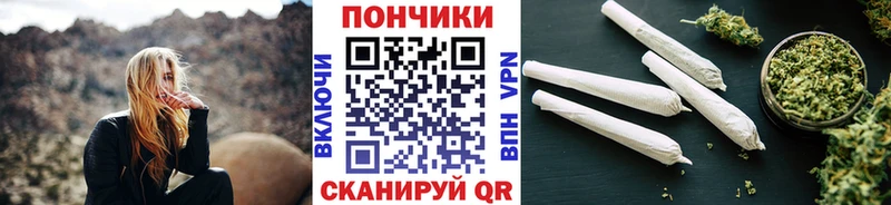 Купить закладки  Суздаль  Бошки марихуана конопля 